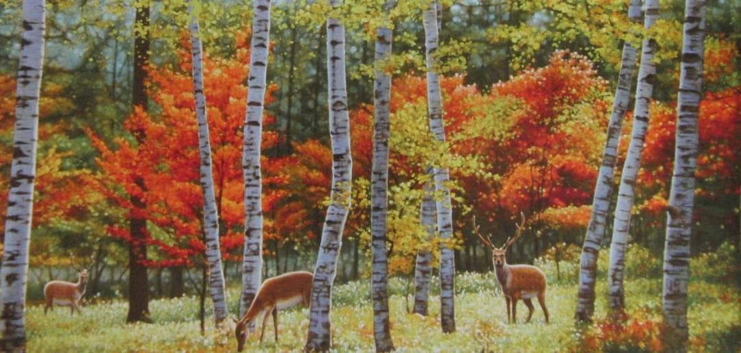 山地司、【鹿の住む森-7】、希少な額装用画集より、状態良好、新品額装付