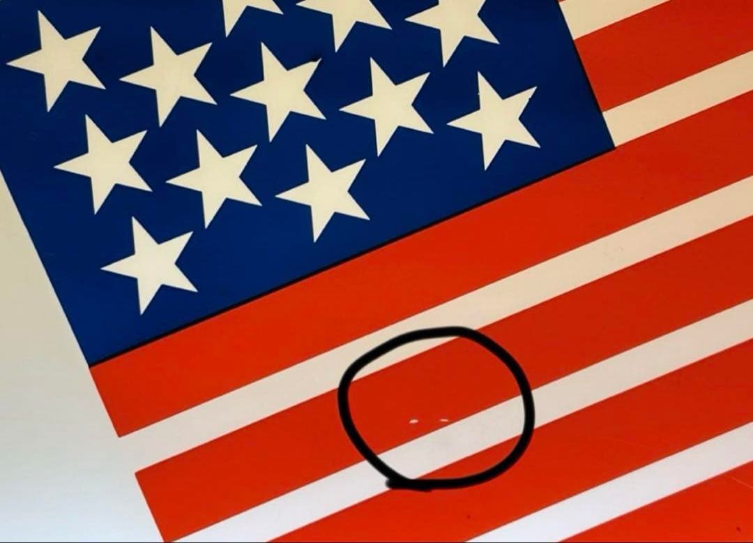 希少　 ネオン看板　アメリカ　レトロ　インテリア　雑貨　星条旗