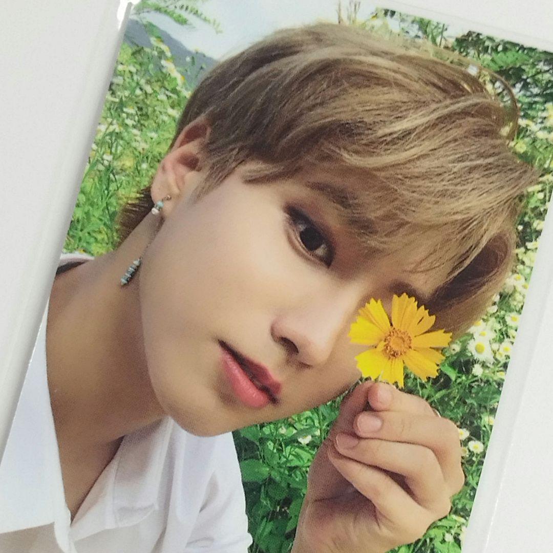 Stray Kids】スキズ NOEASY 限定盤特典 トレカ ハン - メルカリ