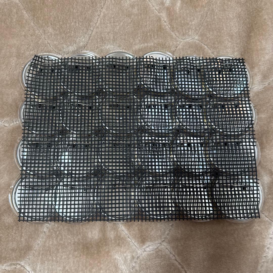 東京卍リベンジャーズ 九井一 乾青宗 グッズ セット