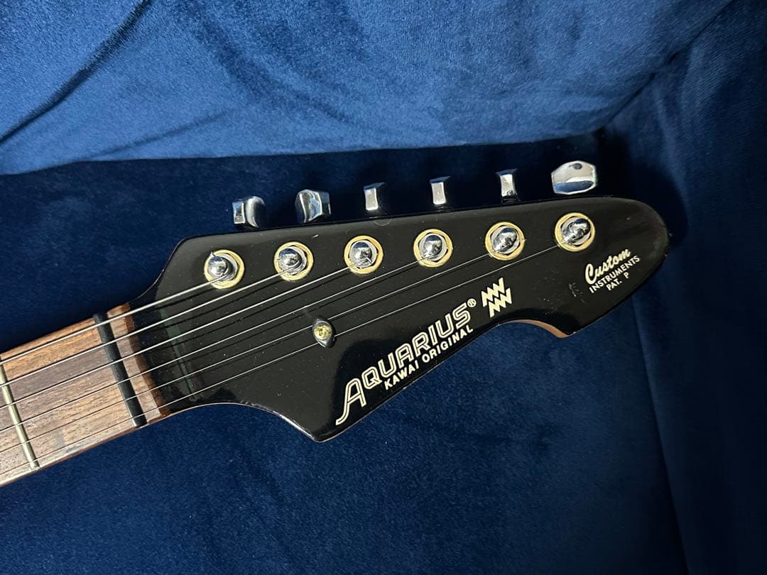 【激レア希少個体】Aquarius BLACK Beauty ＡＱ－550S