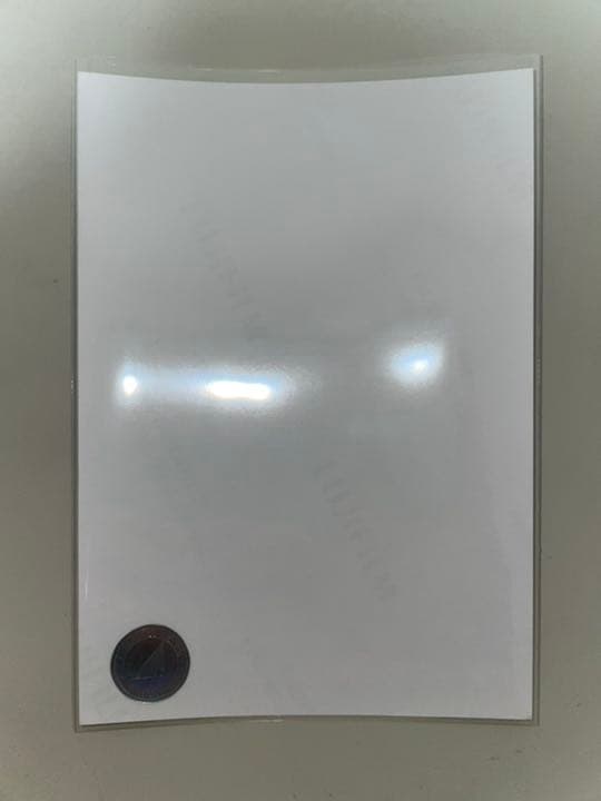 乃木坂46 生写真 直筆 10周年記念 掛橋沙耶香 レアポ