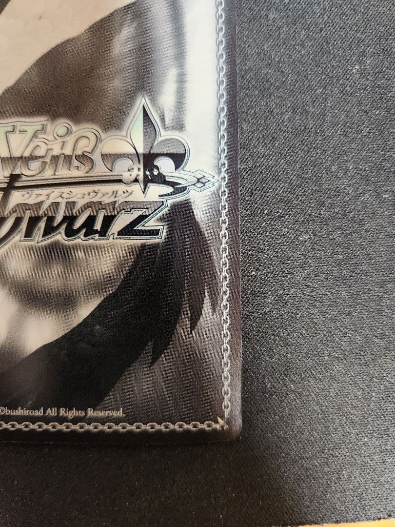 寵愛されし大司教　剣の乙女 sp