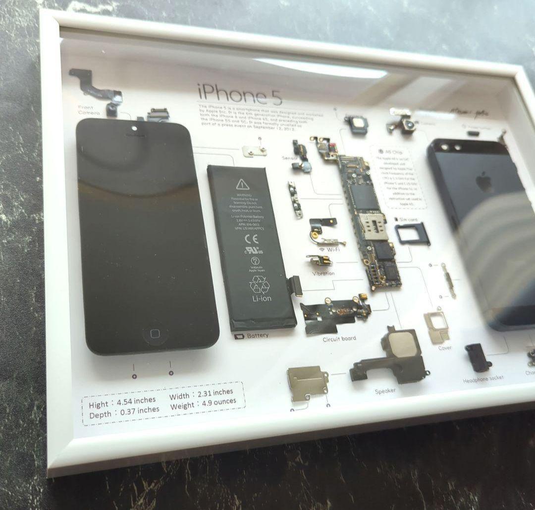 iPhone5 標本アート グレー