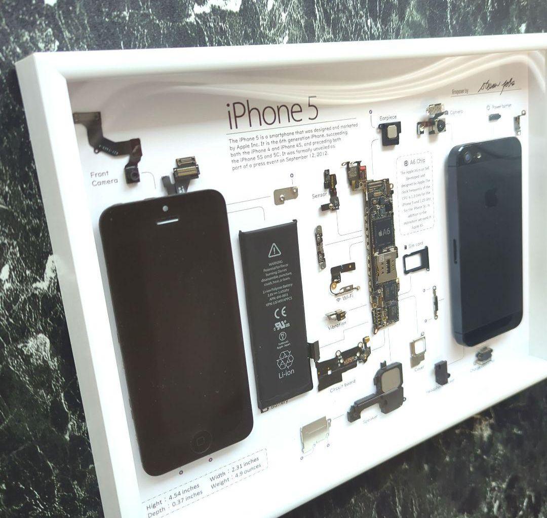 iPhone5 標本アート グレー