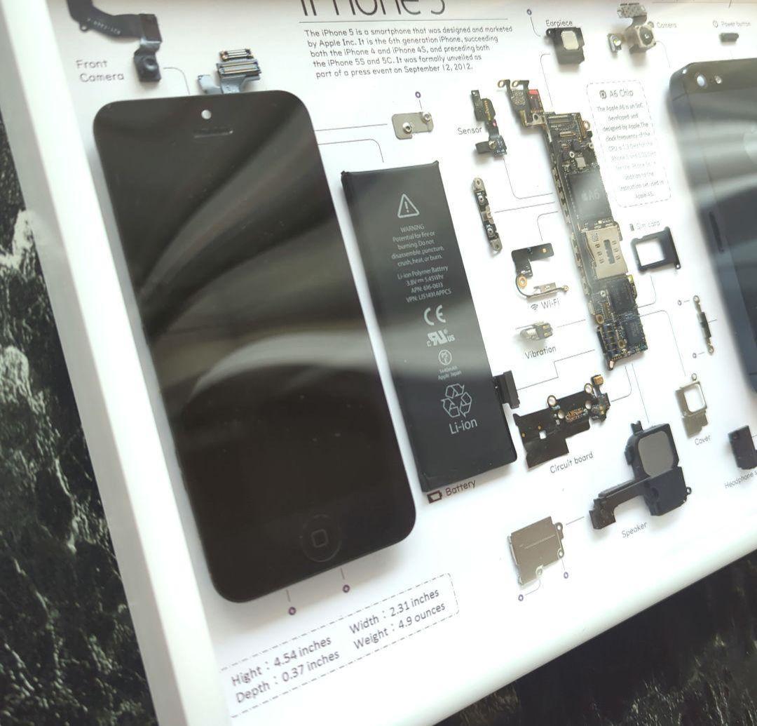 iPhone5 標本アート グレー