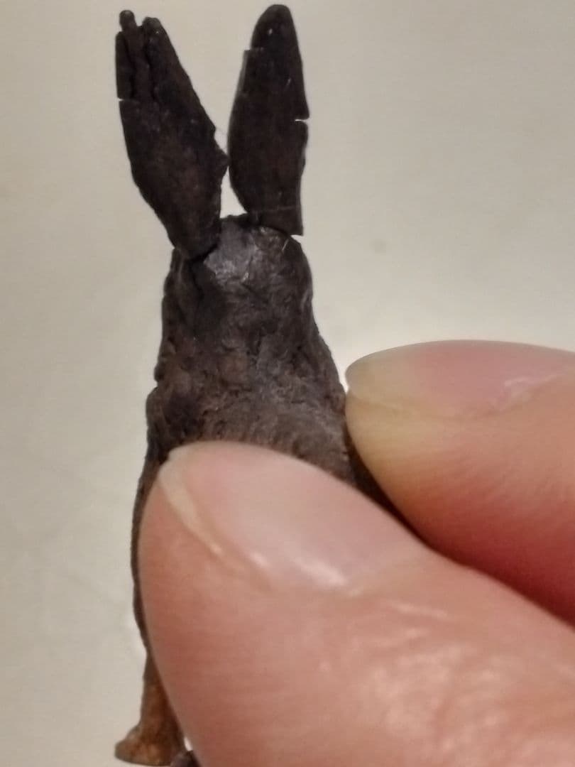 パリ蚤の市で購入したウサギ