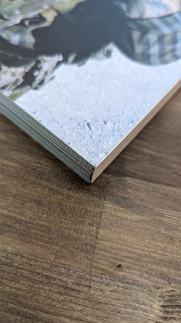 廃盤/入手困難 FORWARD OBSERVATIONS GROUP 写真集 1