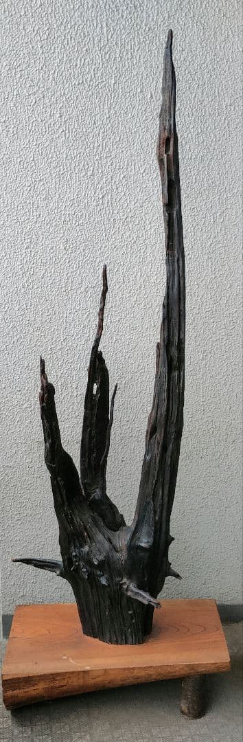 流木 インテリア約 170cm 木製台座付　driftwood interior