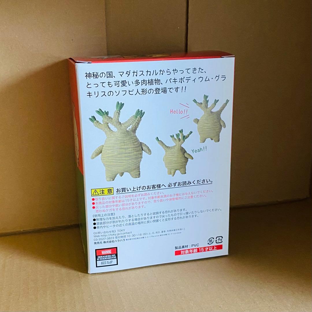 TOKY トーキー グラキリスちゃん(Natural) ソフビ
