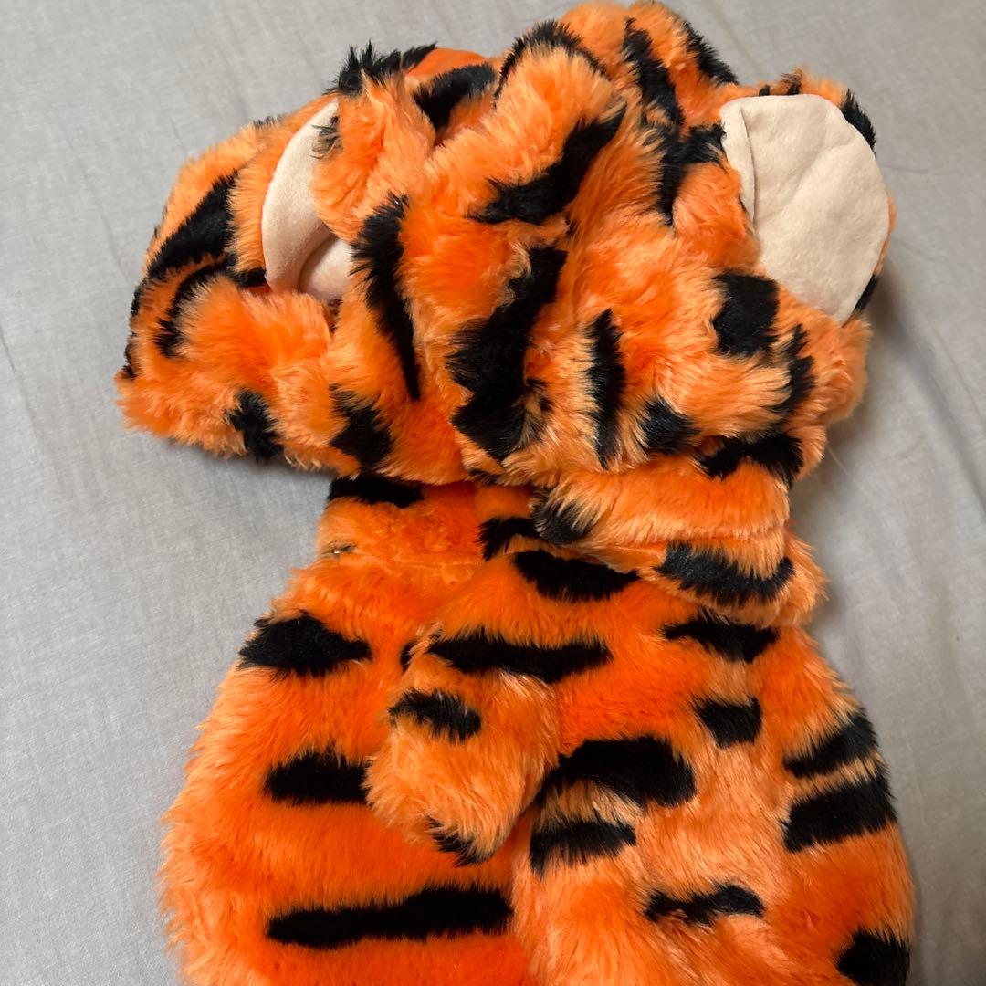 東京ディズニーリゾート ティガー　ファンキャップ