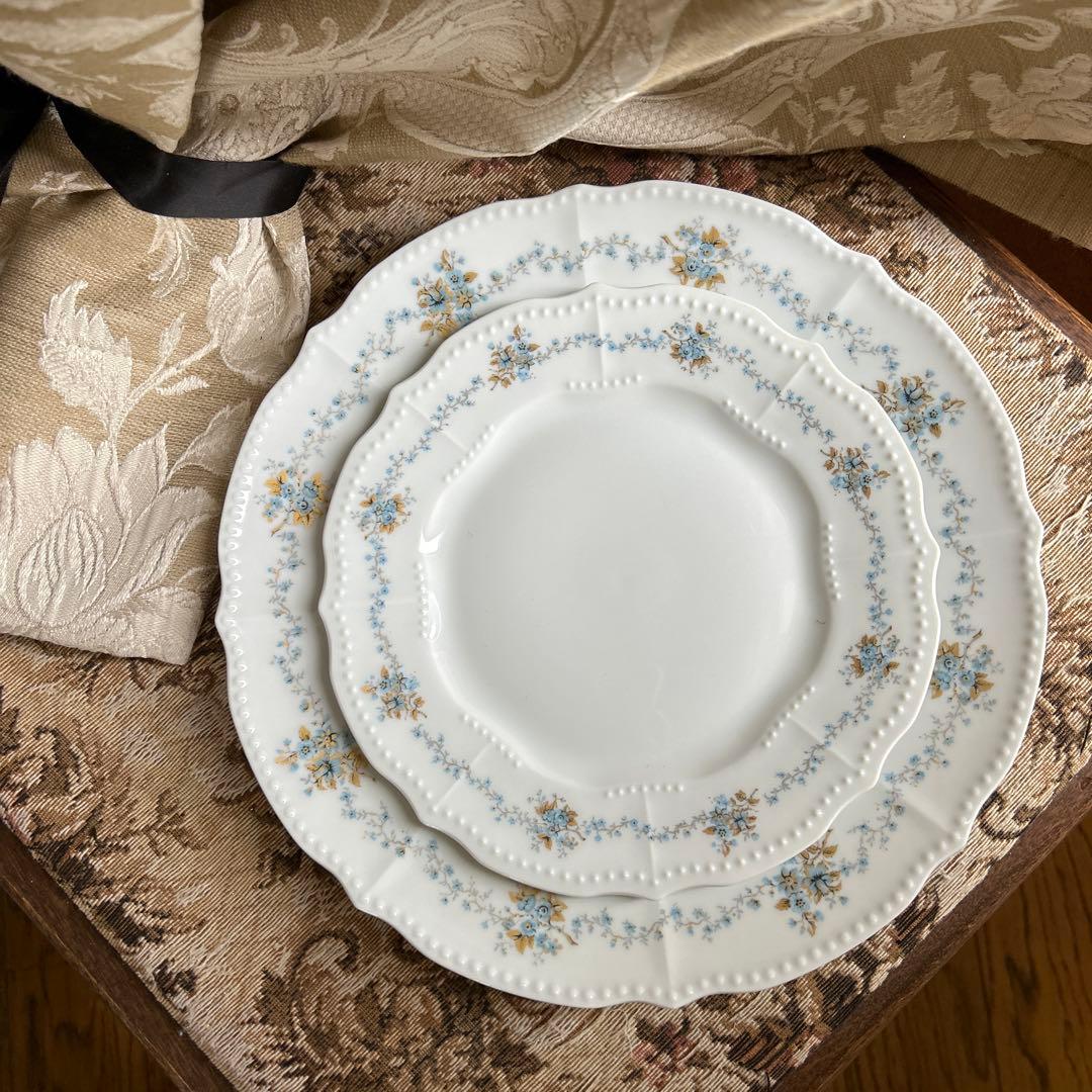 Chapus淡いブルーの小花がそっと息づくひととき─フランス製プレート