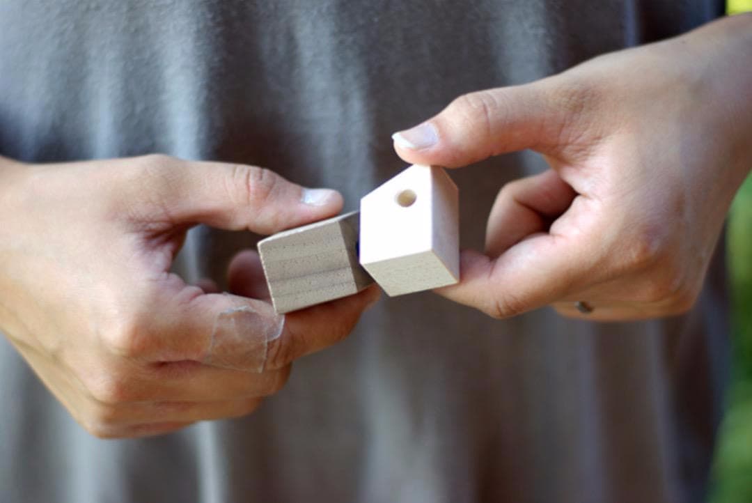 BIRD ECHO バードエコー　2/2