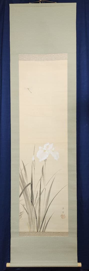 【花菖蒲にトンボ図】井上達雄 通世 2632 トンボ 掛け軸　肉筆