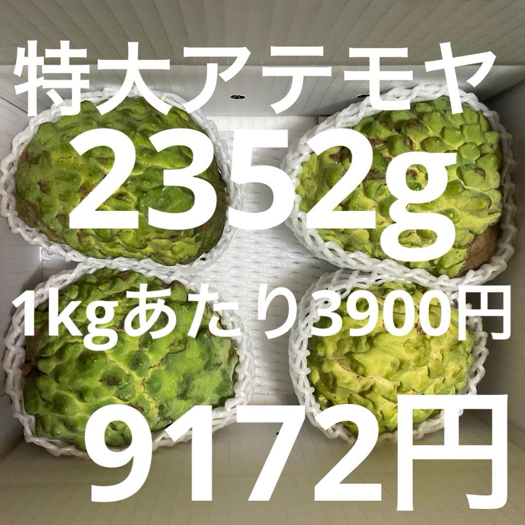 クリスマスセール】値下げ！大人気ブロッコリー種子（おはよう）5000粒