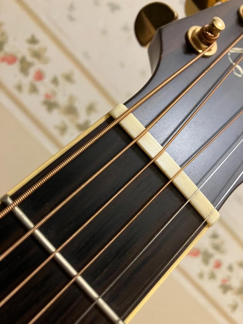 Takamine アコースティックギター ギグバッグ付 塗装浮きアリ - メルカリ