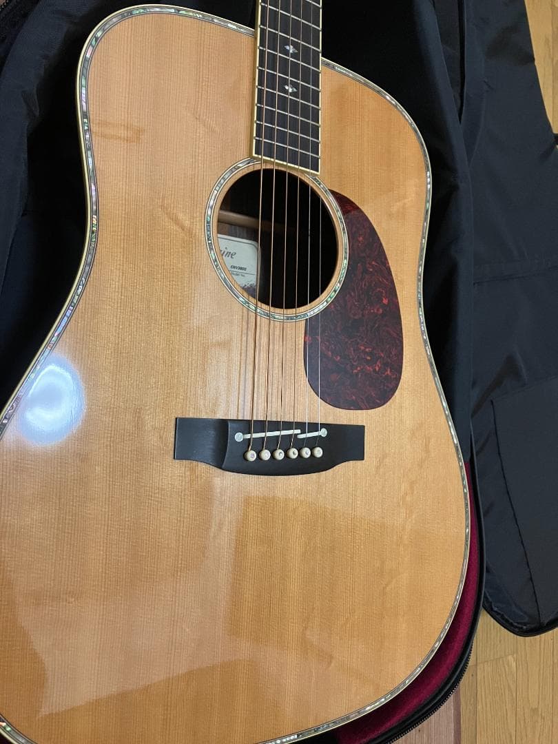 Takamine アコースティックギター ギグバッグ付 塗装浮きアリ - メルカリ