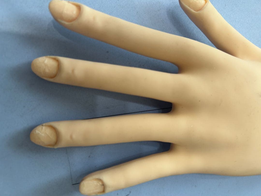 JNEC認定モデルハンド　練習用