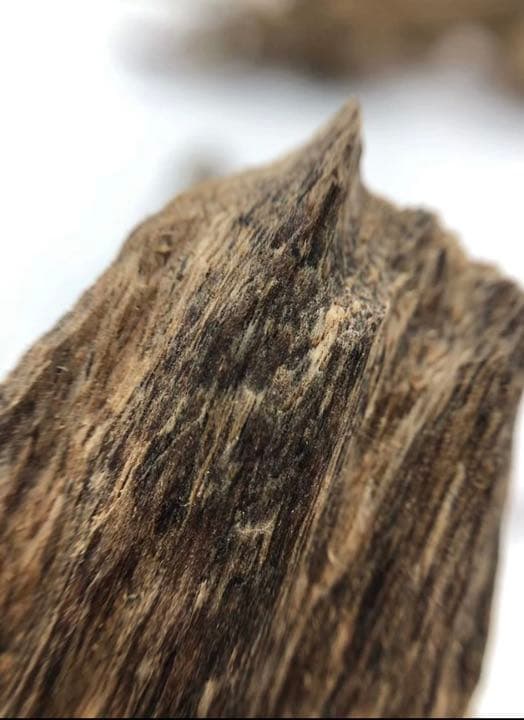 緑伽羅 沈香 虫漏 3g 緑伽羅 沈香 虫漏 3g