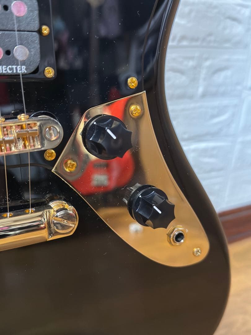 SCHECTER BC-AveMujica Doloris ドロリス 7弦ギター - メルカリ