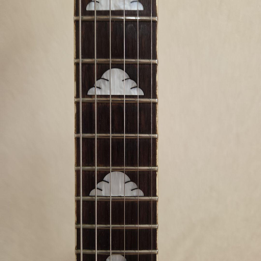 Fernandes クリスタルギター アクリル hide モッキンバード - メルカリ