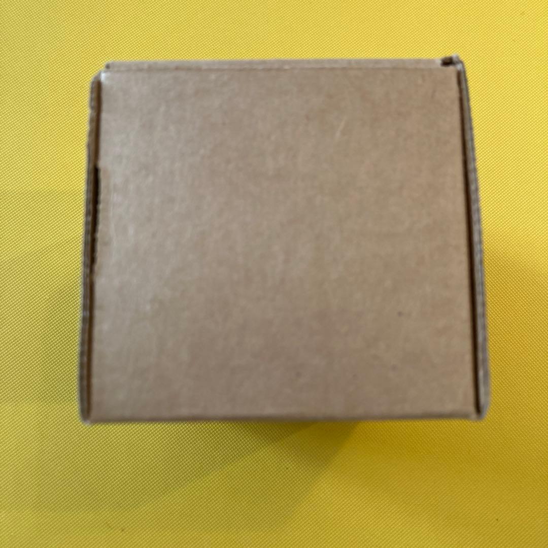 マジック：ザ・ギャザリング Secret Lair Raining Cats and Dogs