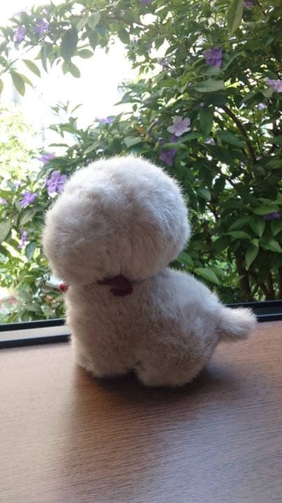 うめ吉 ぬいぐるみ オリエンタルトーイ S-140