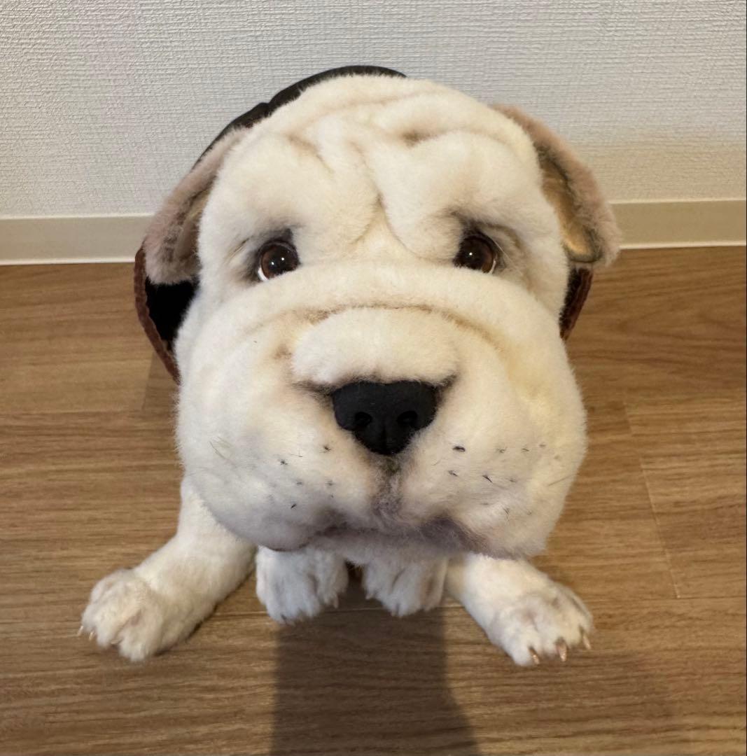 海外作家様作 アートドール シャーペイの子供