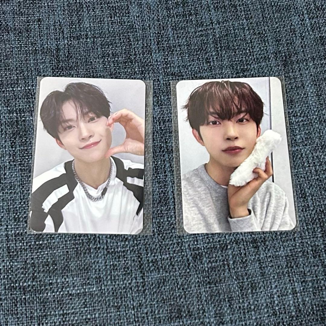 ALD1 ゴヌ ショケ カイロ トレカ - メルカリ