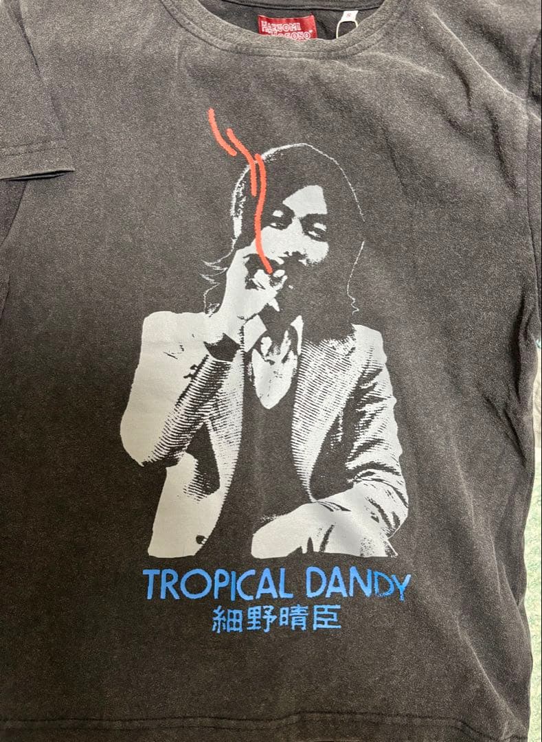 細野晴臣 TROPICAL DANDY Tシャツ Sサイズ - メルカリ