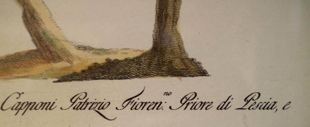 額装品　リプロダクション　S.マネッティ「鸚鵡の図」鳥類図鑑　博物画　美品