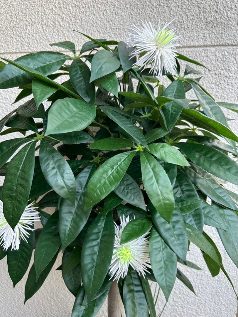 光触媒　人工観葉植物　ウォールグリーン　フェイクグリーン　パキラ花付き105