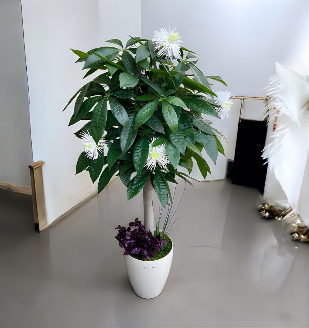 光触媒　人工観葉植物　ウォールグリーン　フェイクグリーン　パキラ花付き105