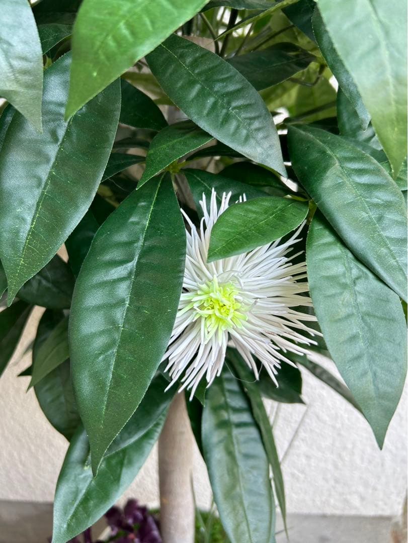 光触媒　人工観葉植物　ウォールグリーン　フェイクグリーン　パキラ花付き105