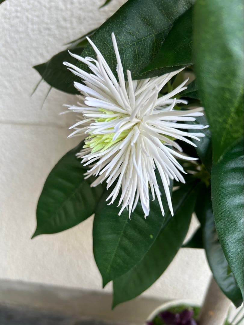 光触媒　人工観葉植物　ウォールグリーン　フェイクグリーン　パキラ花付き105