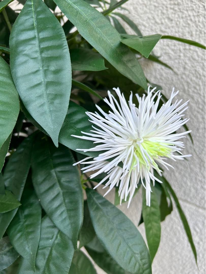 光触媒　人工観葉植物　ウォールグリーン　フェイクグリーン　パキラ花付き105