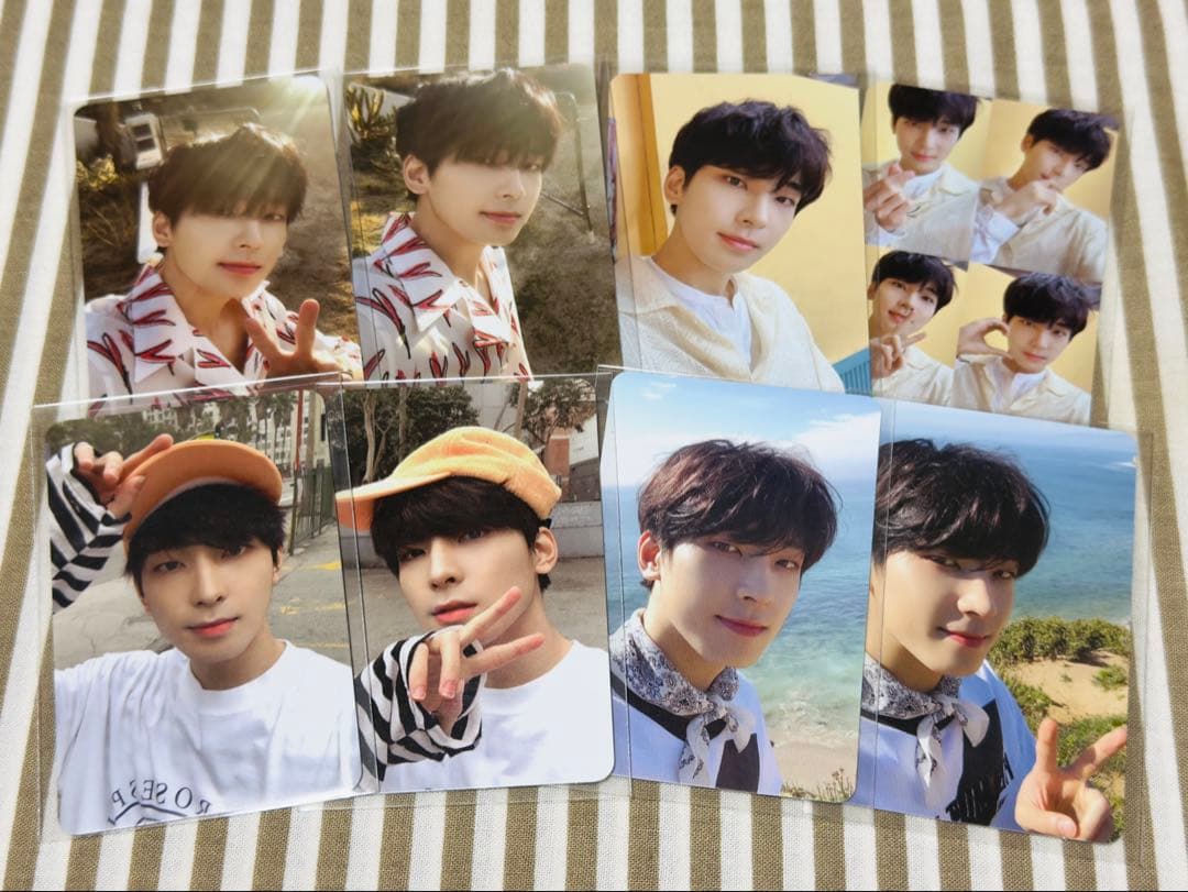 SEVENTEEN ウォヌ ヘンガレ 封入トレカ コンプ 8枚セット