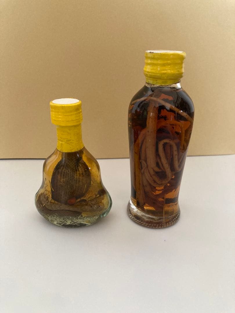 蛇とサソリの瓶入りの置き物