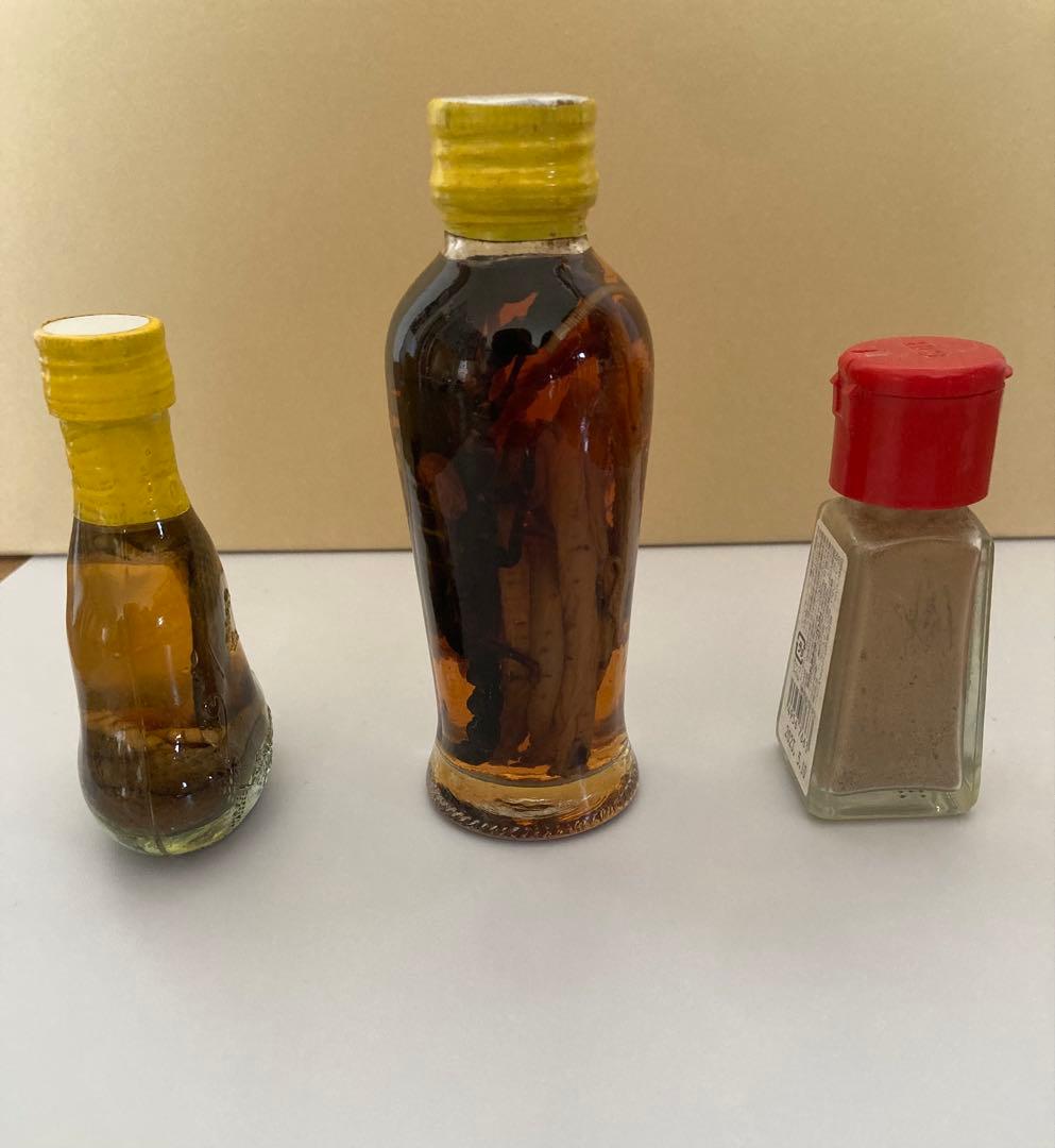 蛇とサソリの瓶入りの置き物