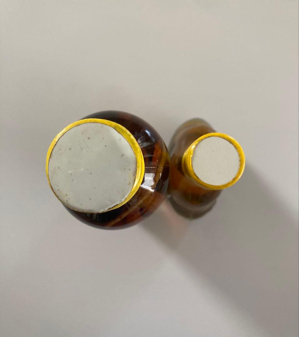 蛇とサソリの瓶入りの置き物