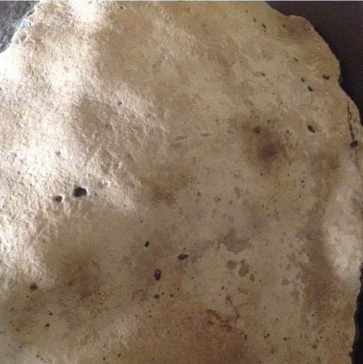 さるのこしかけ