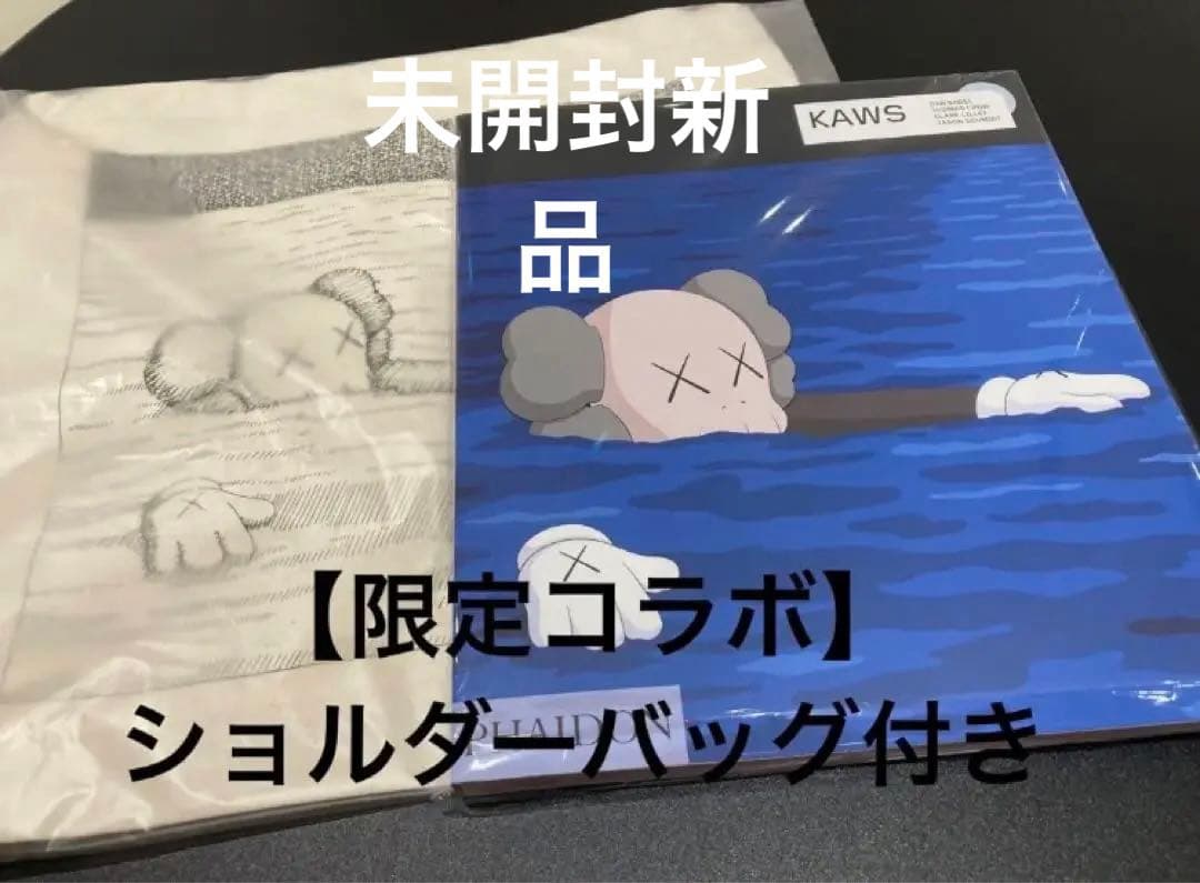 UNIQLO kaws ユニクロ　カウズ　アートブック　2023