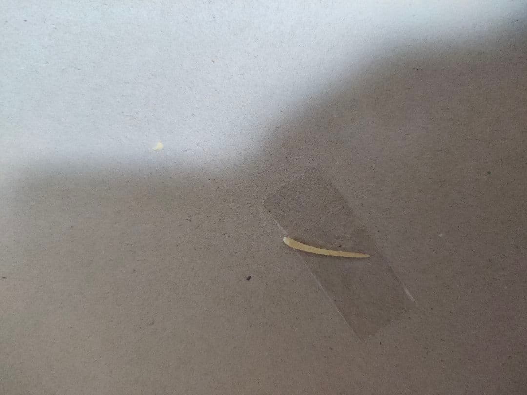 ミレーヌ ジーナス マクロス7シリーズ TECT製 1/5 ガレージキット