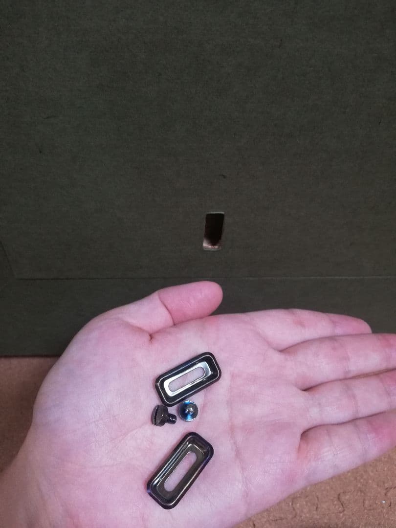 ※期間限定発送❢※　五十嵐晴徳　「双鯉」