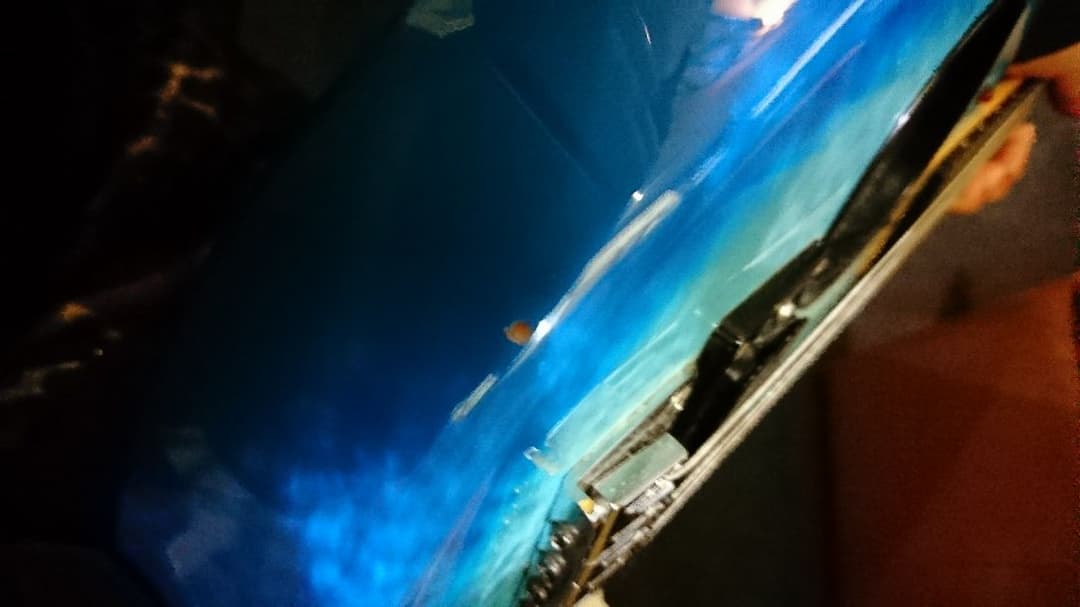 エレキギター ぞーさん