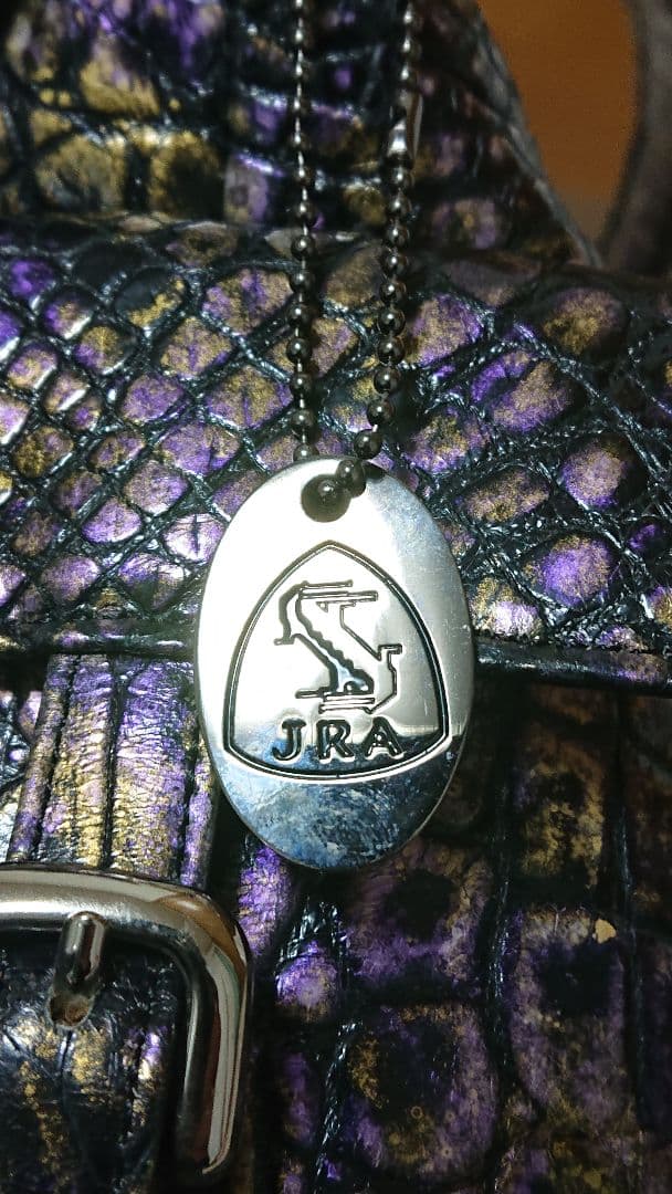 期間限定セール【新品未使用】クロコダイル ハンドバッグ JRA