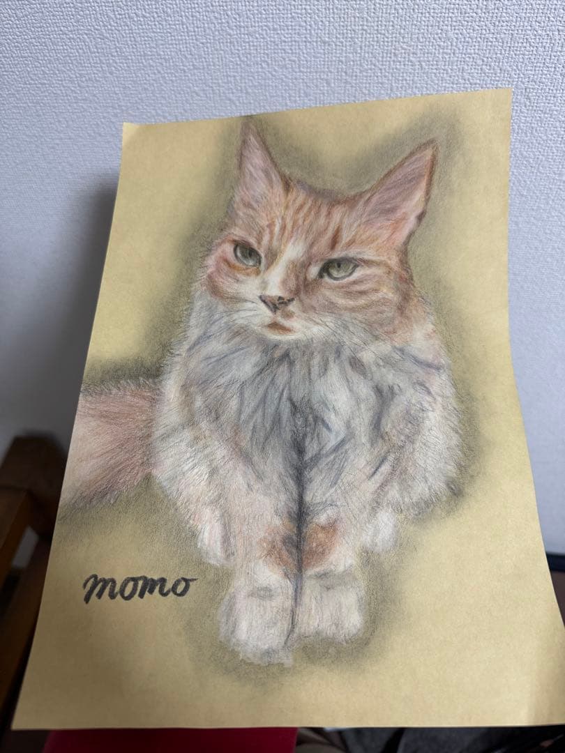 絵のご依頼承ります(オリジナルイラスト又はカラー付き) - メルカリ