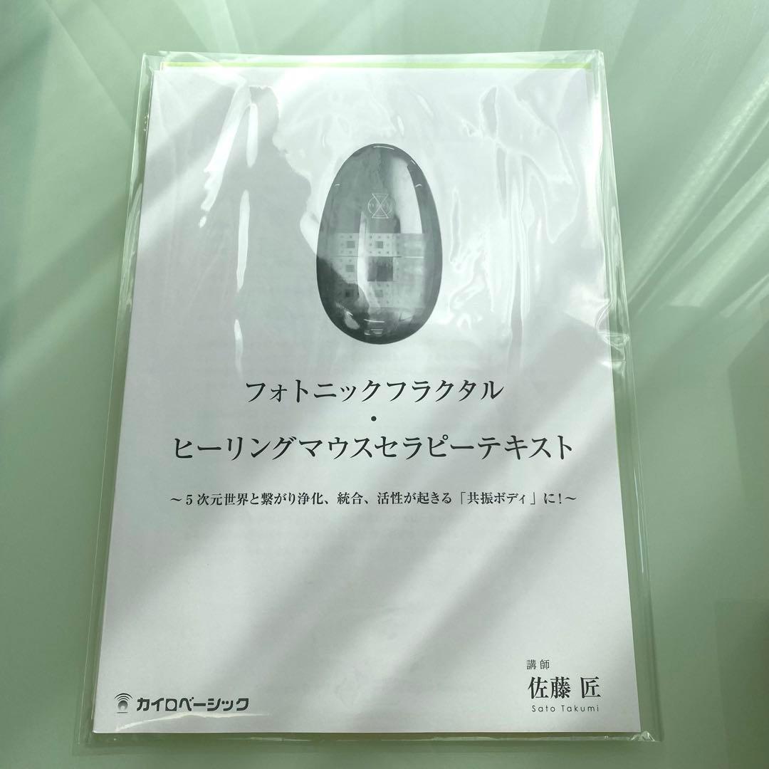 フォトニックフラクタル　ヒーリングマウス