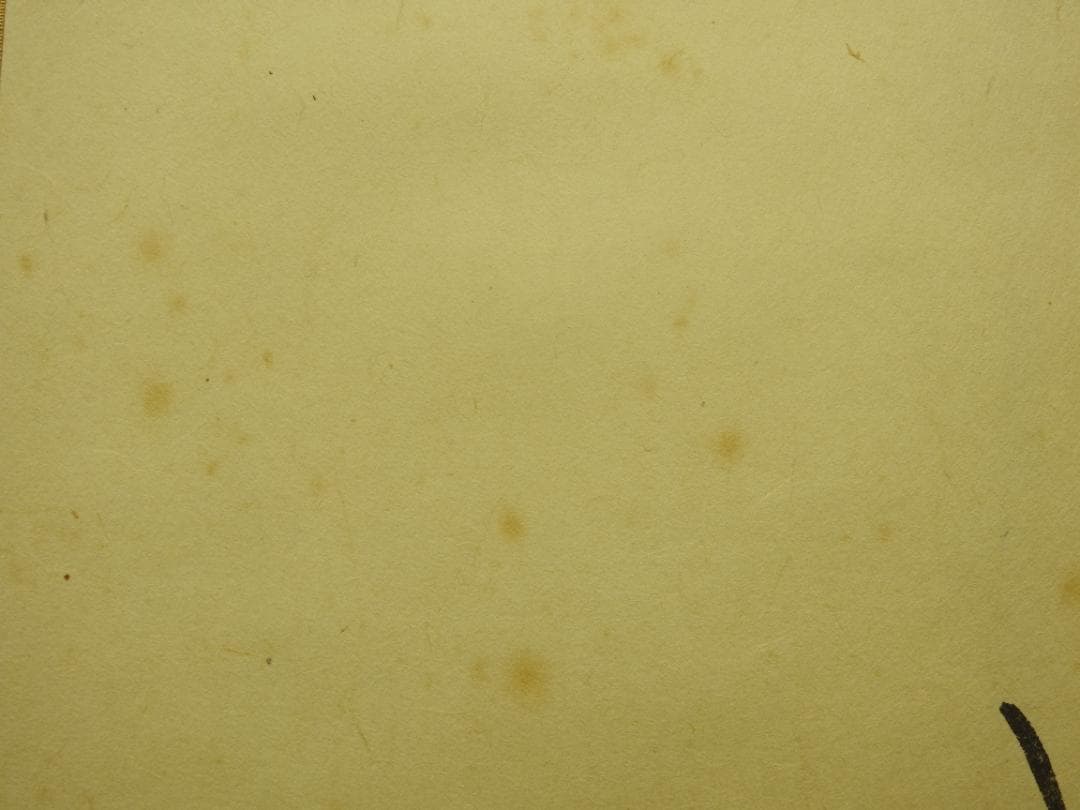 清水公照 茶相 共箱 MA888 - メルカリ