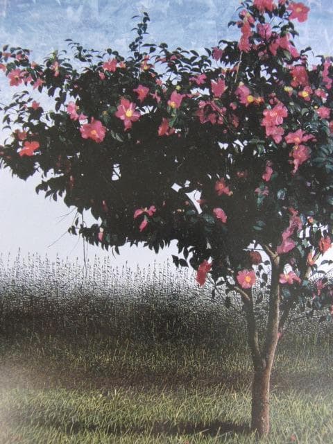 小泉正彦、【椿】、希少な額装用画集画、新品高級額 額装付、状態良好